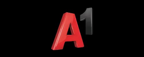 A1